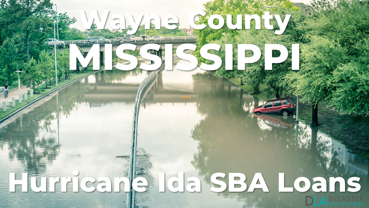 Wayne County Mississippi Hurricane Ida SBA Loans