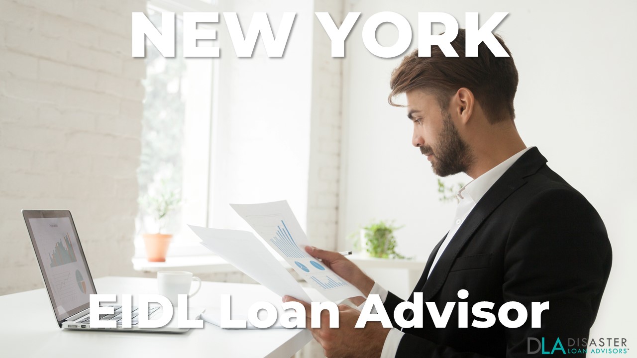 New York EIDL Loan Advisor