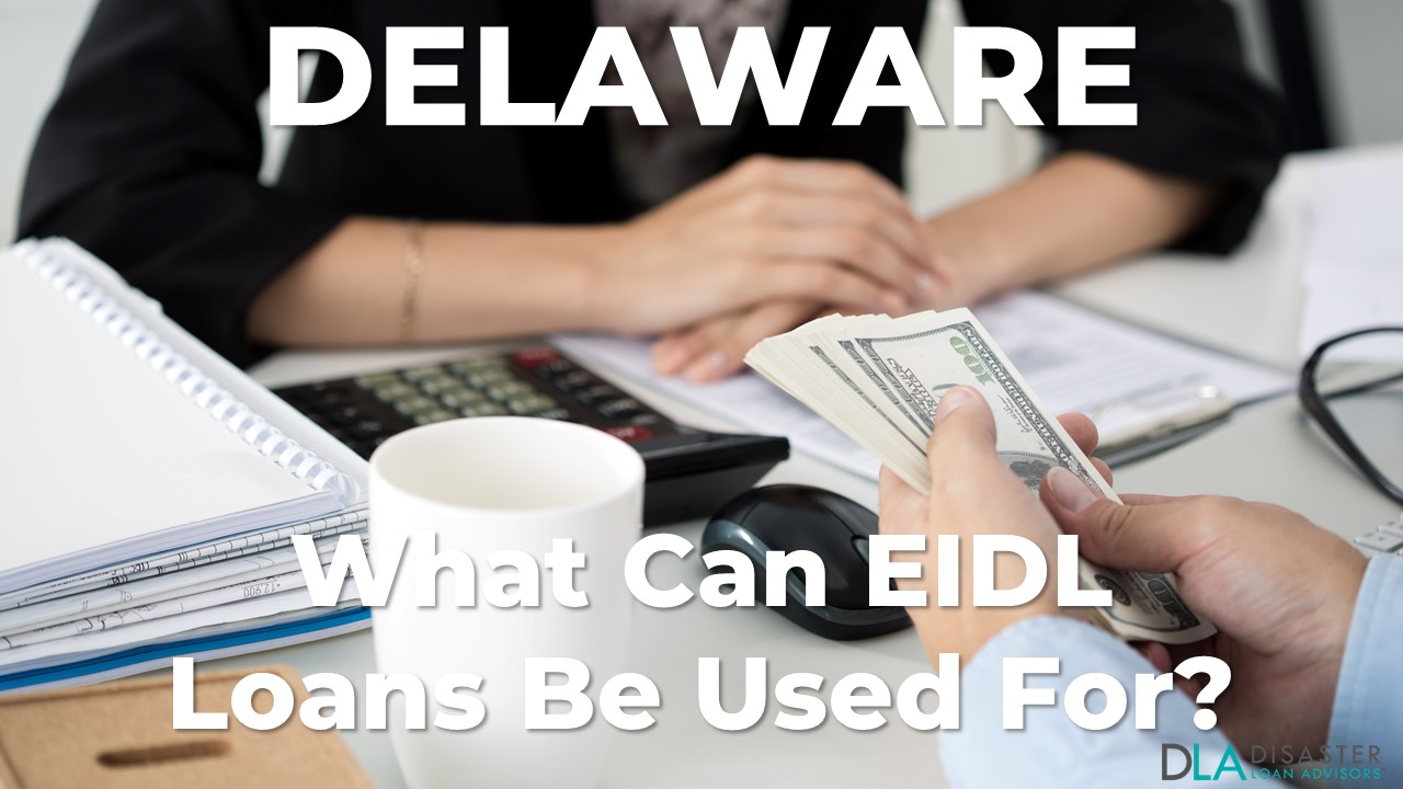 Delaware EIDL Loan Be Used For