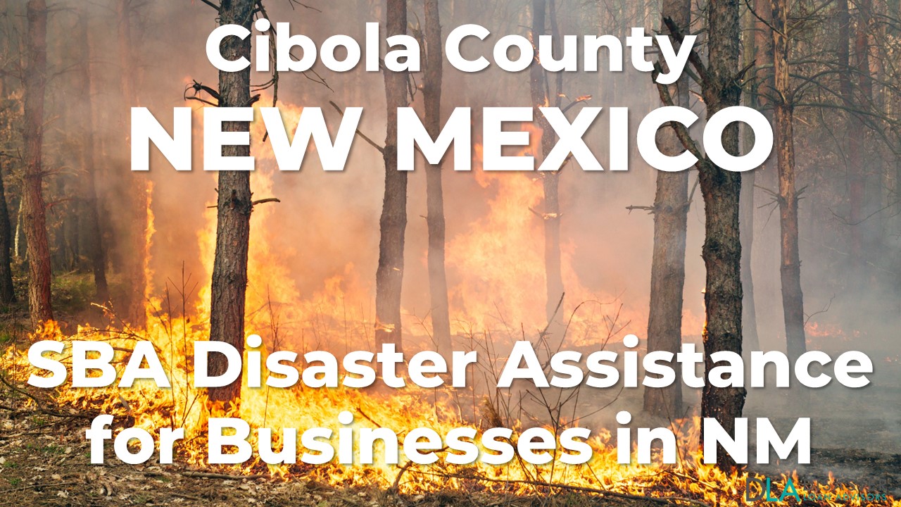 Cibola County New Mexico SBA Disaster Loan Relief for Wildfires and Straight-line Winds NM-00080