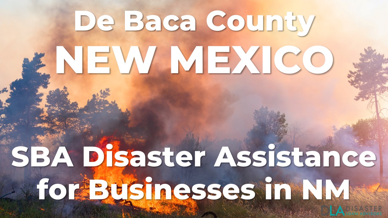 De Baca County New Mexico SBA Disaster Loan Relief for Wildfires and Straight-line Winds NM-00080