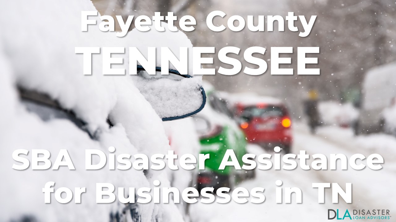 Fayette County Tennessee SBA Disaster Loan Relief for Severe Winter Storm TN-00135